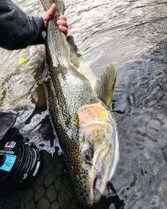One fishing image from Angola