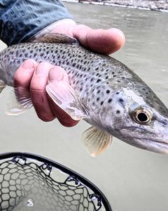 Fishing in Angola