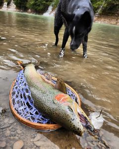 Angler with a catch in Angola