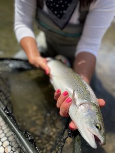 Angler fishing in New York