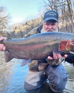 Angler catches a 23-inch fish in NY