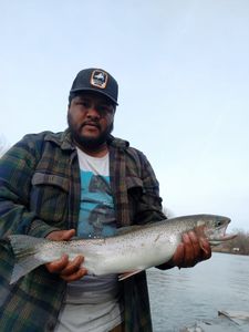 Fly fishing for a beautiful rainbow trout in NY