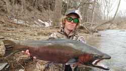 Photograph of a pink salmon, 37 inches long, caught while fishing in NY.