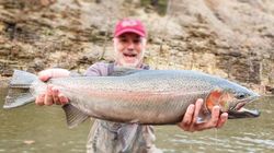 A rainbow trout, 38 inches long, caught while fishing in NY.