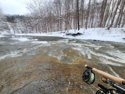 A peaceful winter scene, with a rushing stream cutting through the snow-covered forest, inviting the fly fisher to cast their line and enjoy the tranquility of the moment.