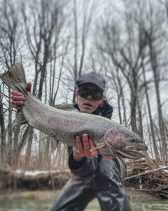 Photo of a 29-inch pink salmon caught while fishing in Angola