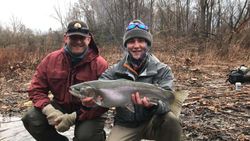 Captivating image of a pink salmon caught in NY