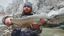 A rainbow trout fish caught in Angola