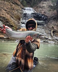 One rainbow trout caught in Angola