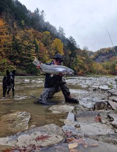 Stunning rainbow trout caught in New York
