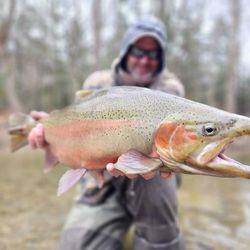 Rainbow Trout fishing in NY