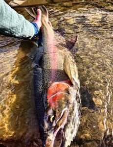 Serene fishing trip in New York