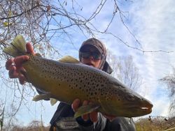 Sea Trout fishing photo taken in NY