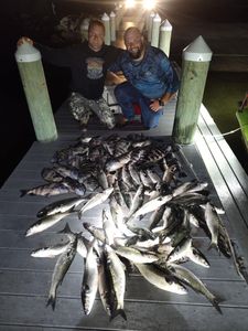5 huge fish caught in FL