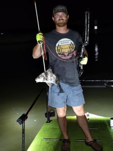 Black Drum fish caught by one person in FL