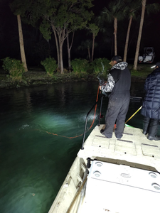 Scenic view of Crystal River, perfect for the best and greatest fishing adventures