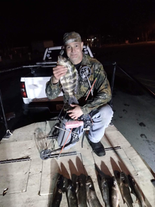 Sheepshead fish caught while fishing in Crystal River