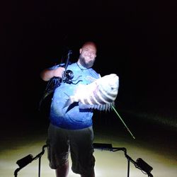 Photograph of a sheepshead fish caught in Crystal River
