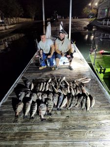 Two sheepshead fish caught in FL