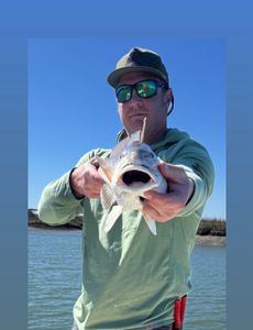 One angler fishing in SC