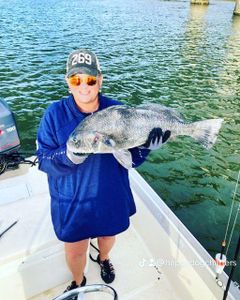 Caught a big black drum fish on a fishing tour in Mount Pleasant
