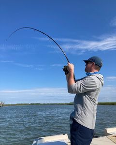 A person fishing on the shore of Mount Pleasant
