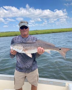 Redfish, 32 inches, caught in SC