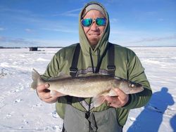 Walleye ice fishing Wisconsin	