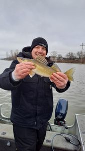 Walleye fishing Wisconsin 