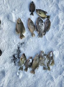 Ice fishing dreams come true!