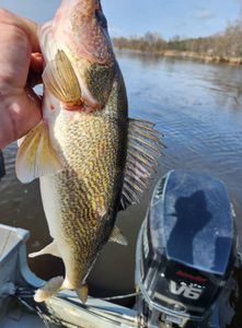 The river is calling, and I must fish! 