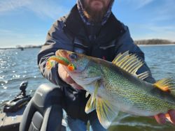 Walleye Fishing in Wisconsin