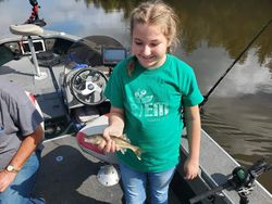 Baby Walleye in Wisconsin River 