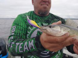 Northern Wisconsin walleye fishing	