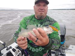 Walleye fishing