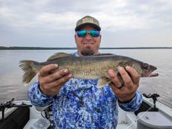 Guides, Walleye adventure.