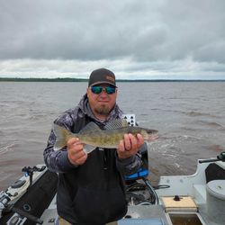 Guides, Walleye territory.