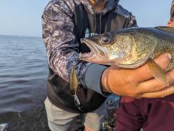 Wisconsin guides, fishing dreams.