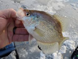 Wisconsin Ice Fishing