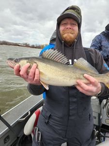 Walleye Fishing Wisconsin 