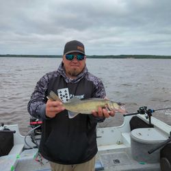 One angler with a 16-inch fish caught while fishing in Wisconsin Rapids