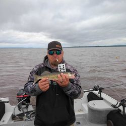 Walleye magic, guided