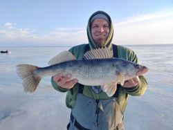 A fisherman holding a big walleye in Wisconsin