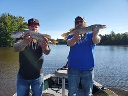 Two chain pickerel and northern pike fish caught in Wisconsin Rapids