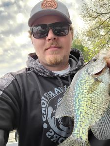 A photo of a crappie fish caught in WI