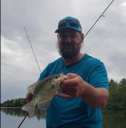 Photograph of a crappie fish caught in WI