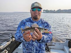 Walleye dreams, Wisconsin waters.