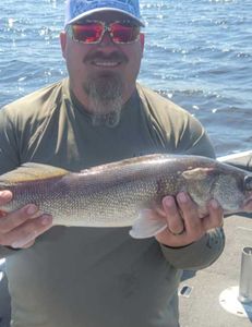 Angler fishing in WI