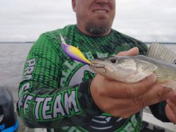 Single angler fishing in WI