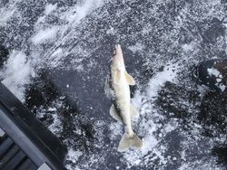 Fishing in the beautiful state of Wisconsin